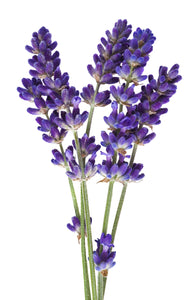 Fragrant and Essential Oils